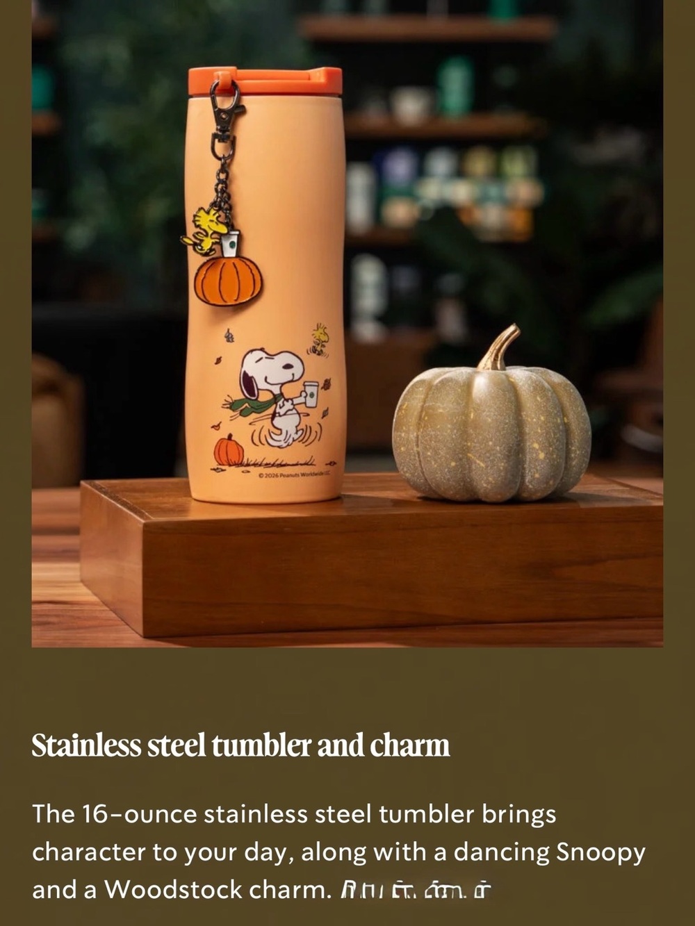 Starbucks x Peanuts Stainless Steel Tumbler with Woodstock Charm 16oz
